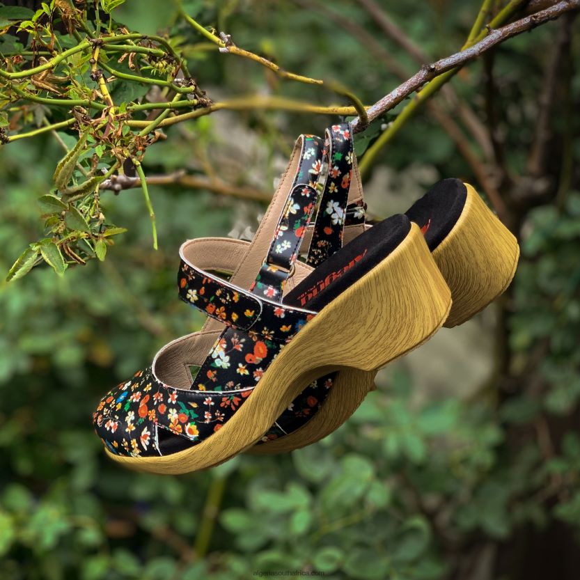 Tarah Kindred Shoe 2VV46J505Alegria